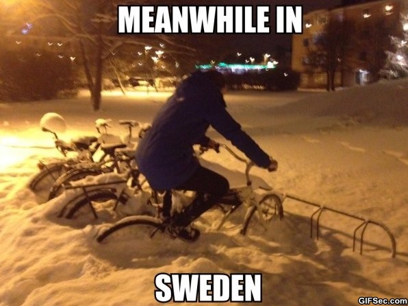 Meanwhile-in-Sweden.jpg