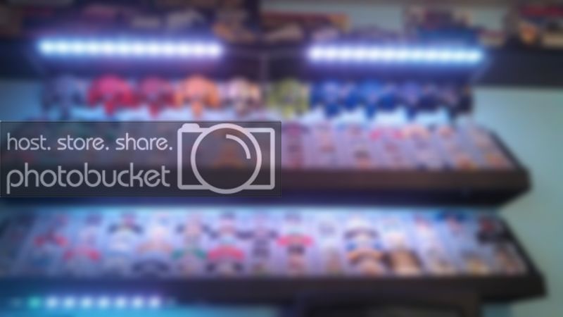  photo IMG_20131011_164749_7441.jpg