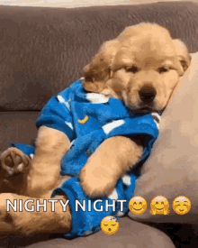Golden Retriever PJs GIF - GoldenRetriever PJs Blue GIFs