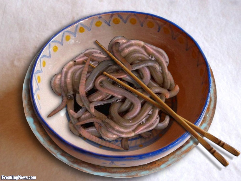 http://www.freakingnews.com/pictures/35000/Worm-Spaghetti-35124.jpg